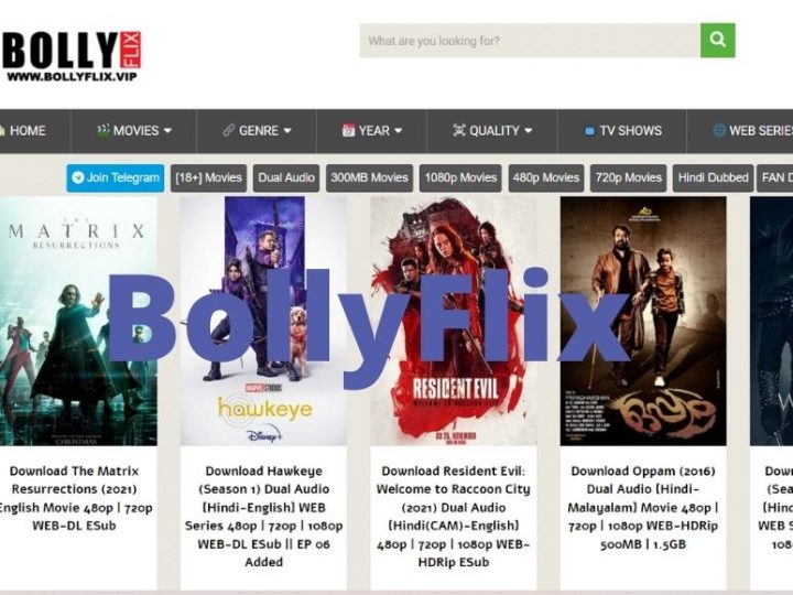 Bollyflix 2024 | Latest Bollywood HD Movies Download Form Bollyflix.com